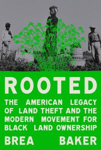 bookshelf-Rooted